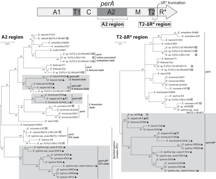 FIG 6