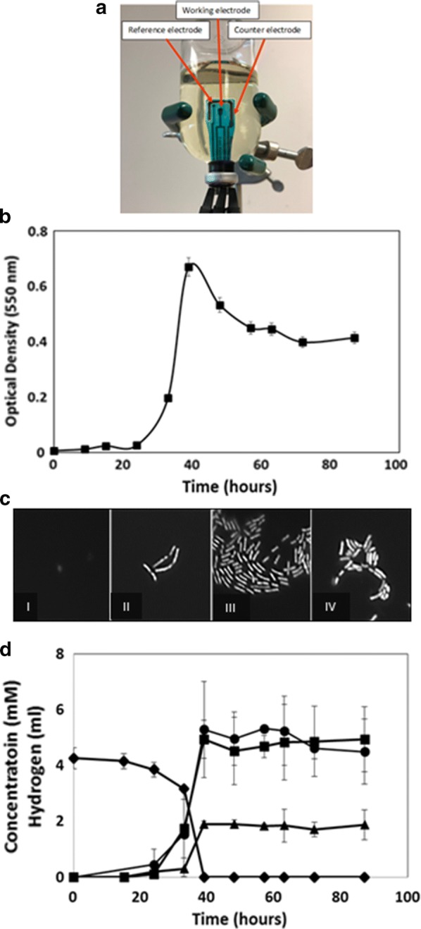 Fig. 1