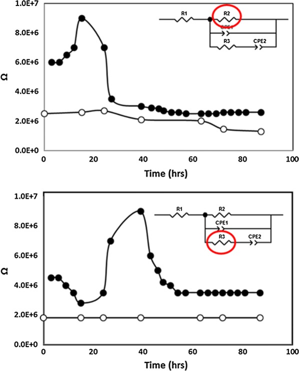 Fig. 6