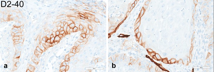 Fig. 6