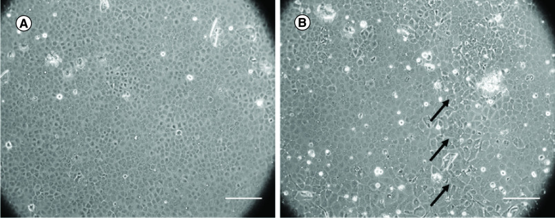 Figure 3. 