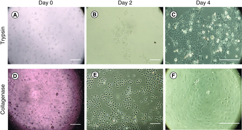 Figure 4. 