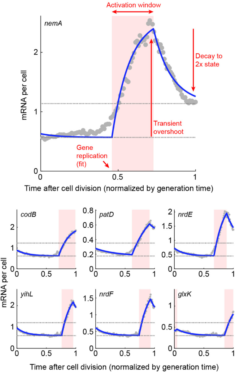 FIG. 12