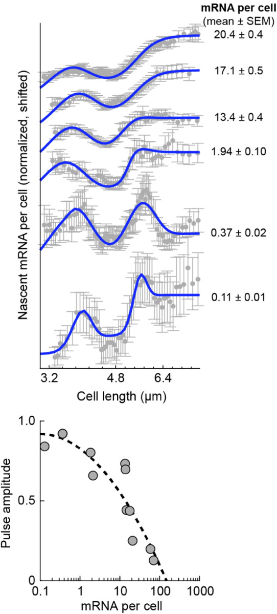 FIG. 11