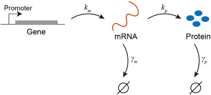 FIG. 1