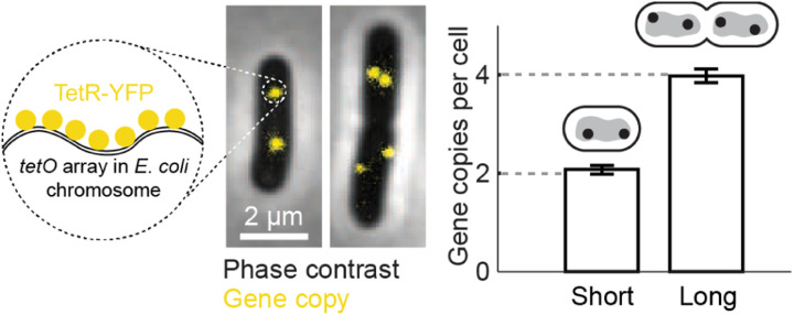 FIG. 6