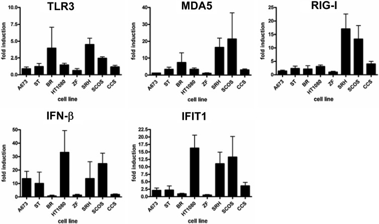 Fig 6