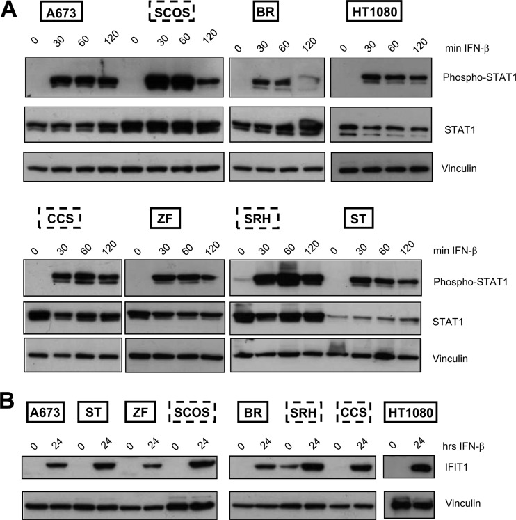 Fig 9