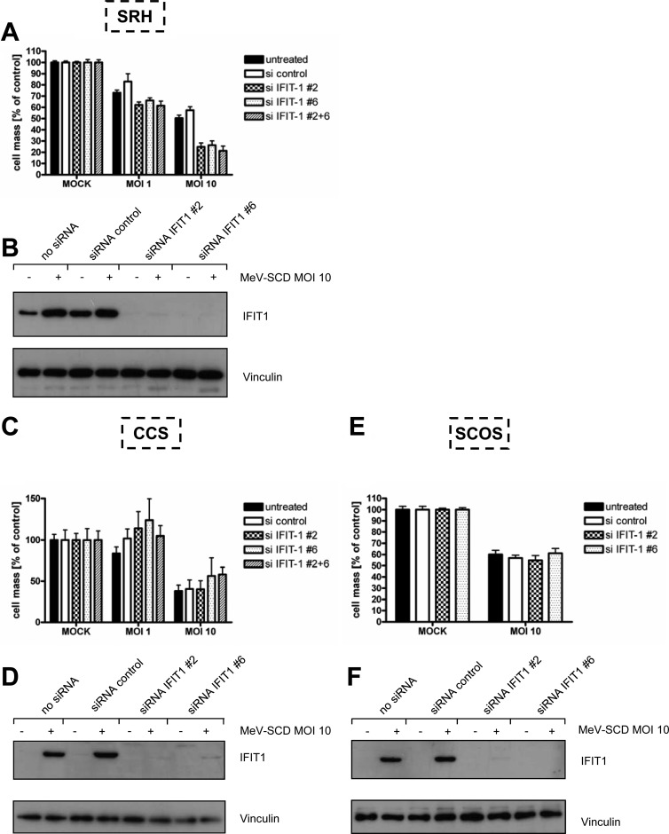 Fig 12