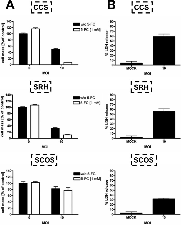 Fig 13