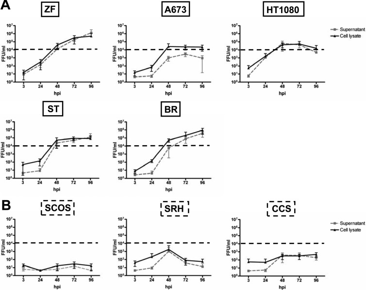 Fig 4