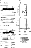 Fig. 9.