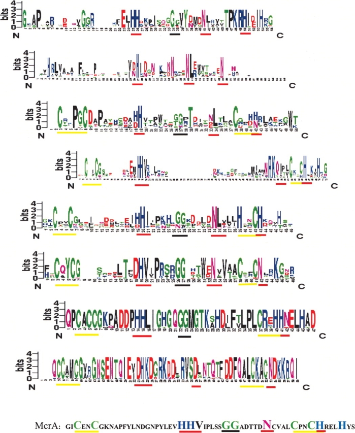 HNH family subclassification leads to identification of commonality in ...