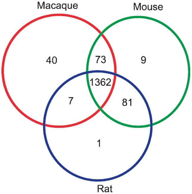 Fig. 1.—