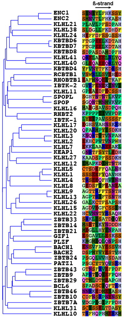 Extended Data Figure 10: