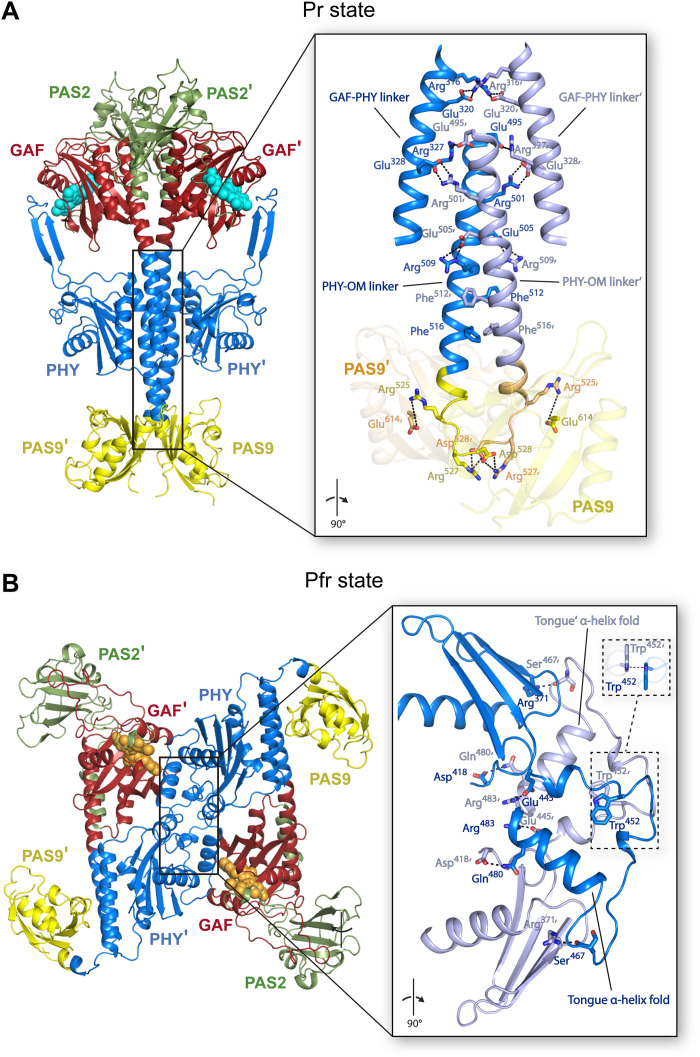 Fig. 7.