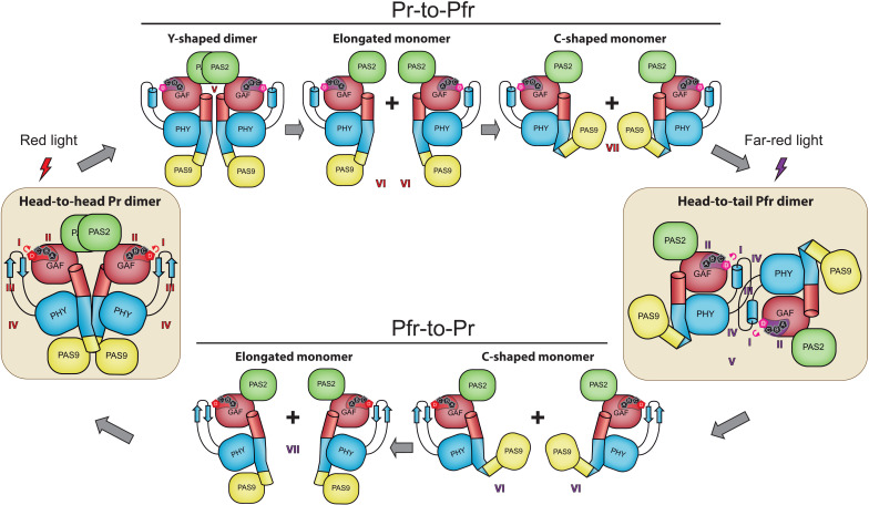 Fig. 9.