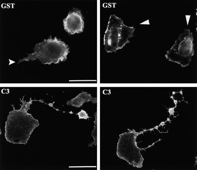 Figure 10.