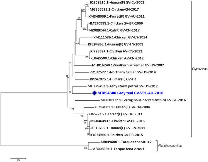 Figure 2