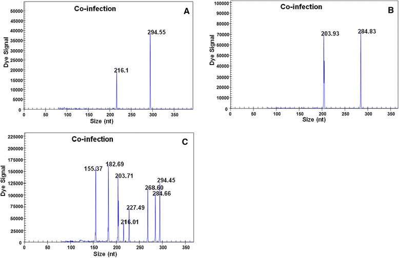 Fig. 3