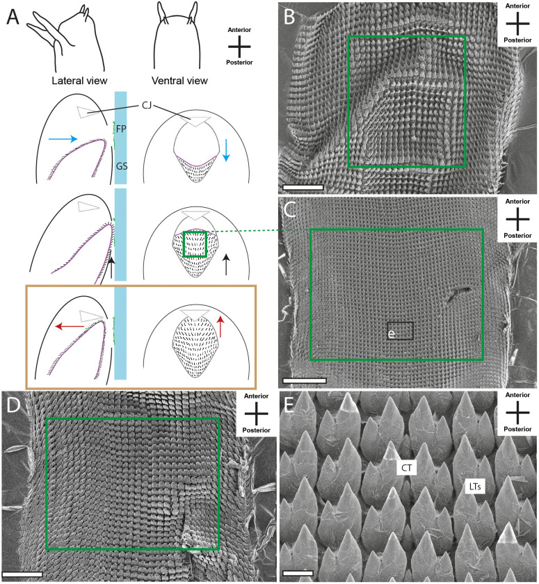 Fig. 7.