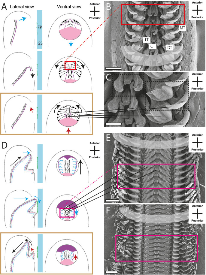 Fig. 4.