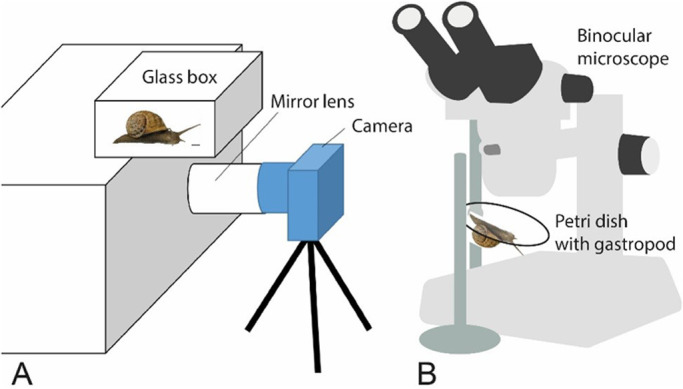 Fig. 3.