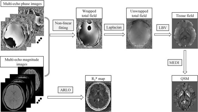 Fig. 1