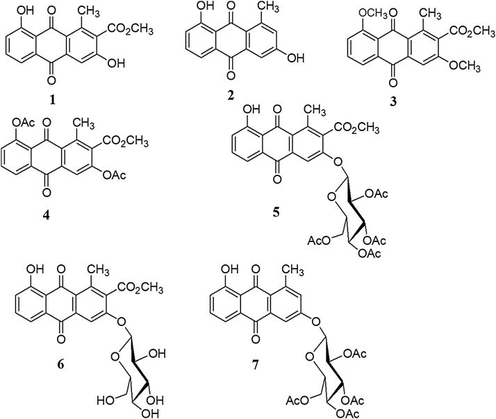 Fig. 4