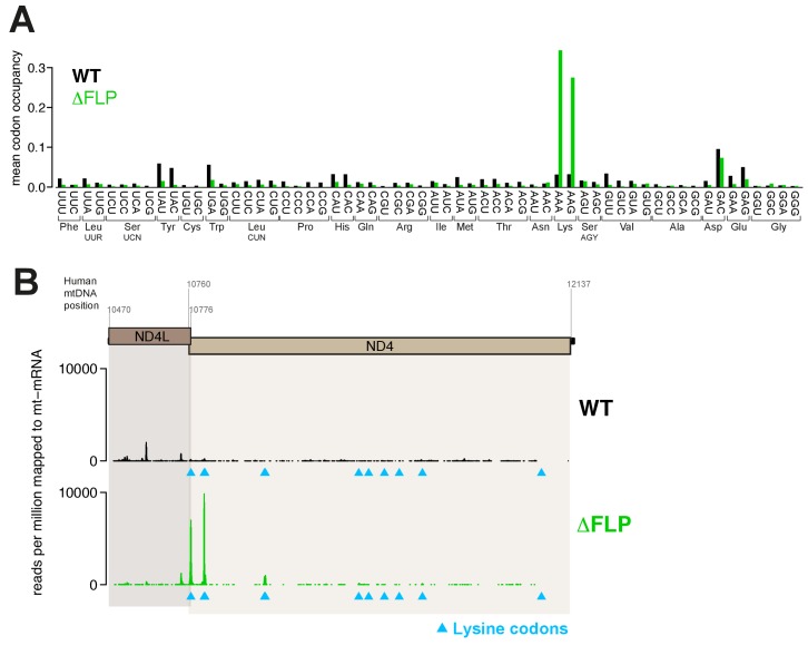 Figure 3—figure supplement 1.