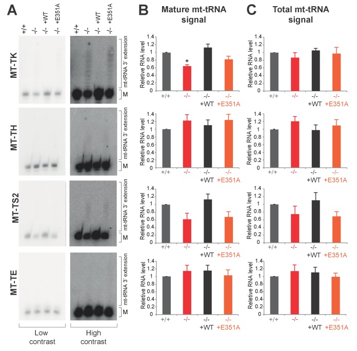 Figure 4—figure supplement 2.