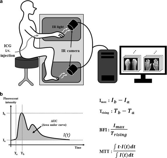 Fig. 1