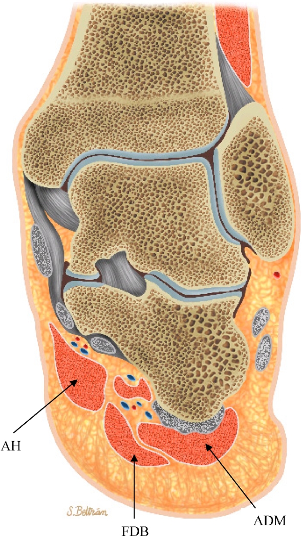 Fig. 4