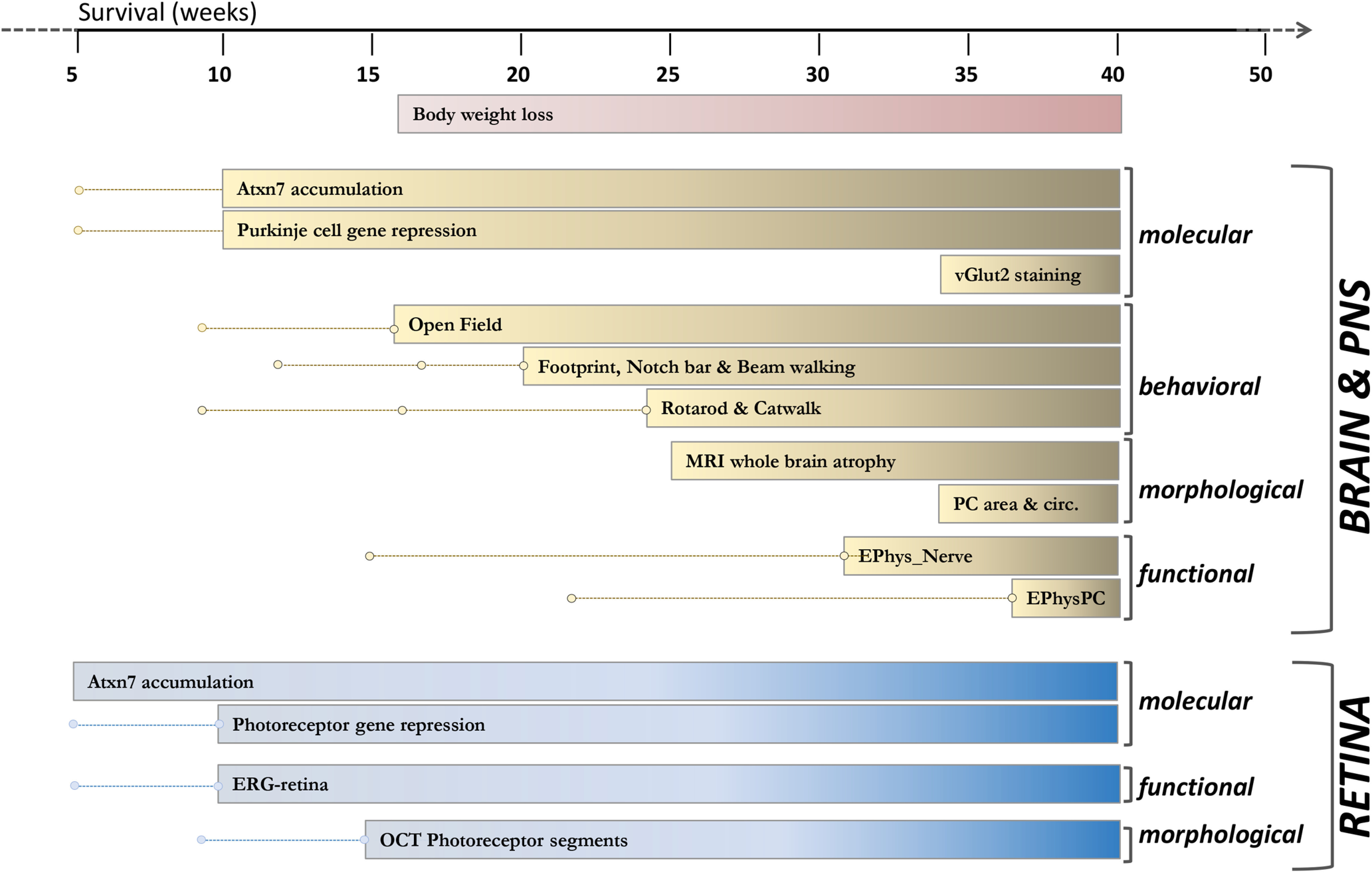 Figure 14.