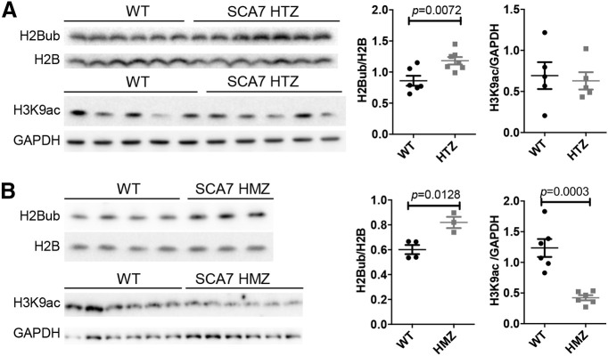 Figure 13.