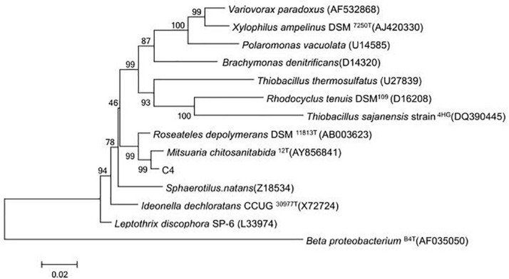 FIGURE 1