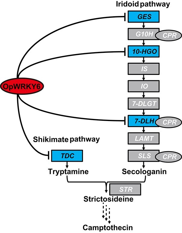 Figure 10