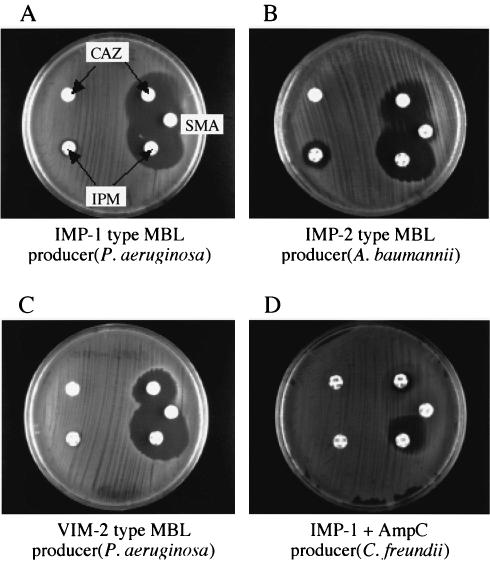 FIG. 1.