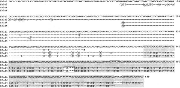 graphic file with name pnas00291-0336-a.jpg