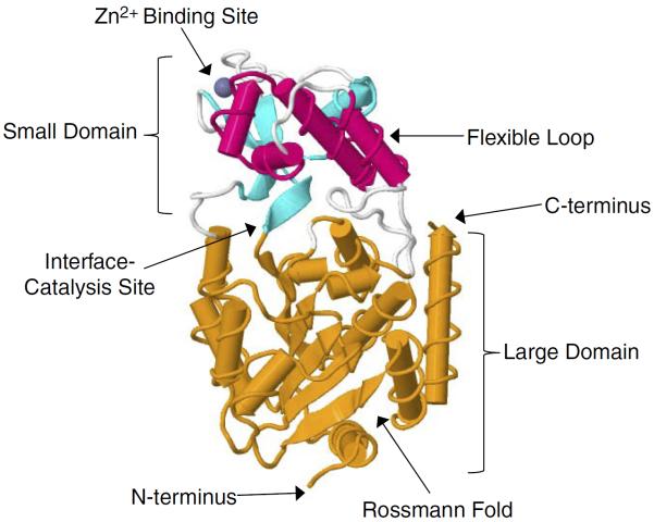 FIGURE 2