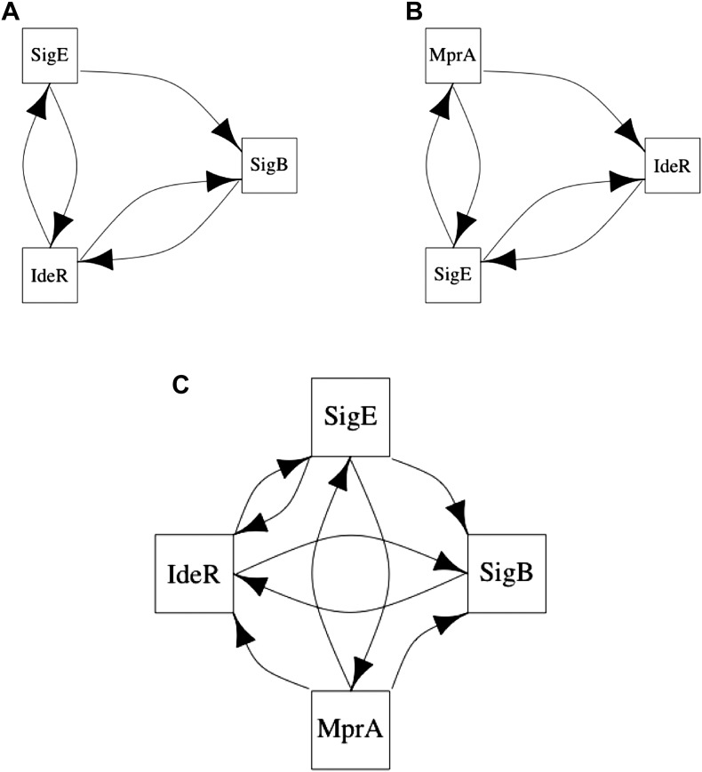 Figure 6—figure supplement 2.