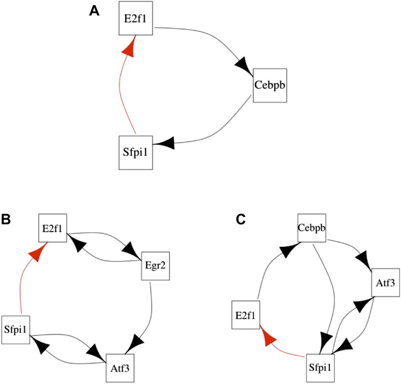 Figure 8—figure supplement 1.