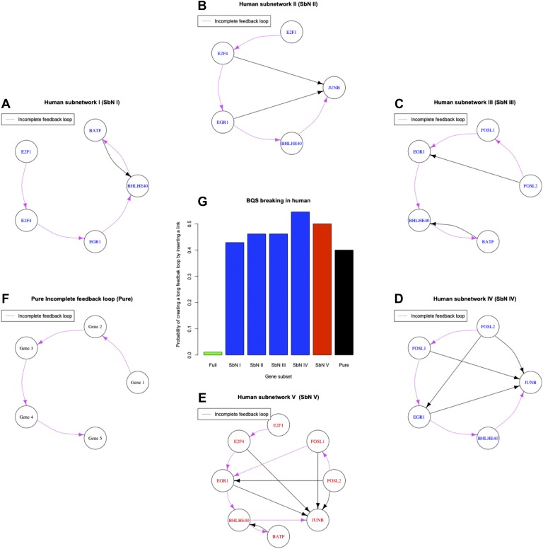 Figure 7—figure supplement 3.