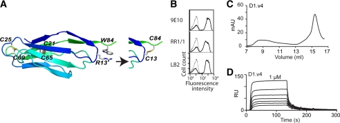 FIGURE 5.