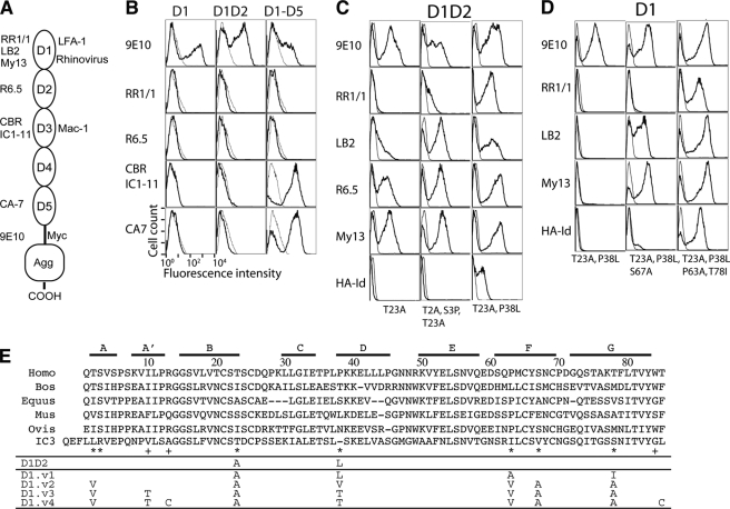 FIGURE 1.