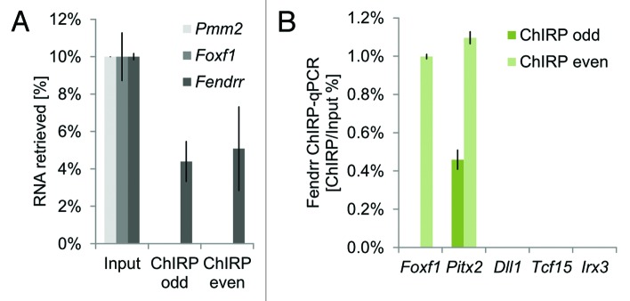 graphic file with name rna-10-1579-g1.jpg