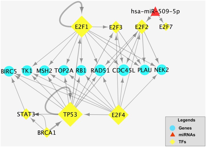 Fig 7