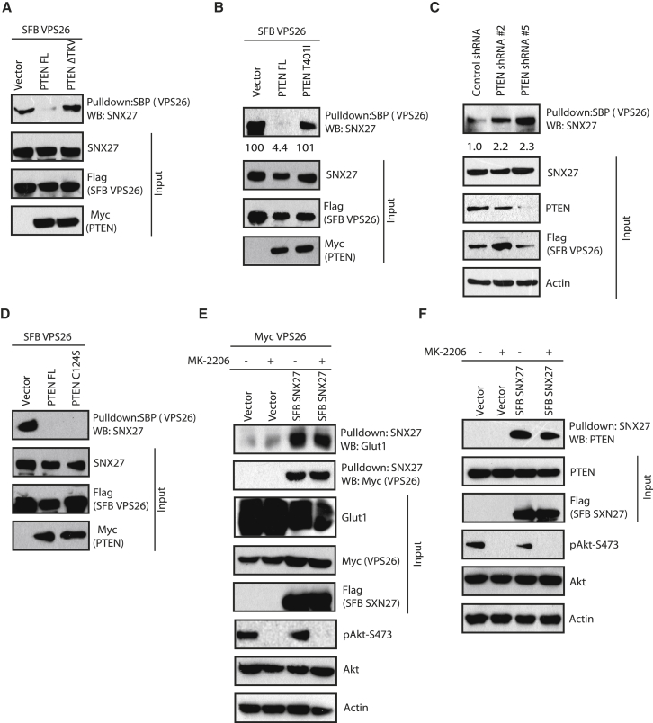 Figure 5