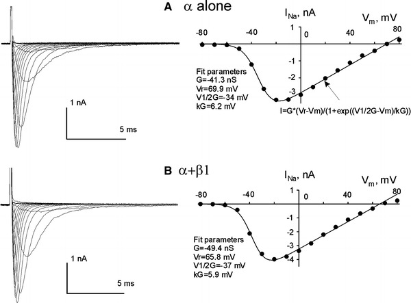 Fig 5