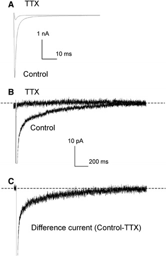 Fig. 2